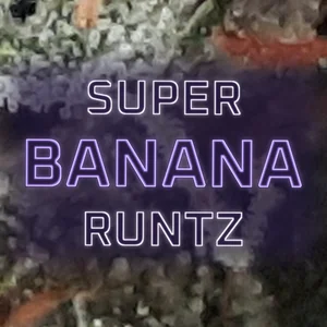 Super Banana Runtz Cannabis Strain