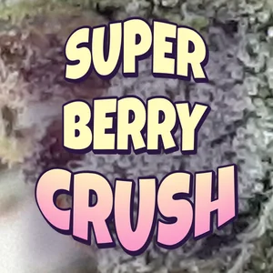 Super Berry Crush Cannabis Strain