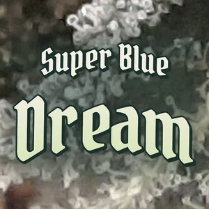 Super Blue Dream Cannabis Strain