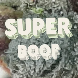 Super Boof Cannabis Strain