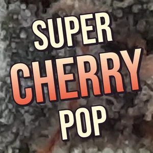 Super Cherry Pop Cannabis Strain
