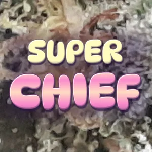 Super Chief Cannabis Strain