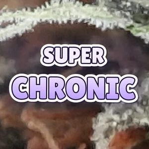 Super Chronic Cannabis Strain