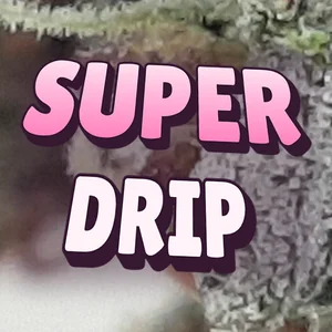 Super Drip Cannabis Strain