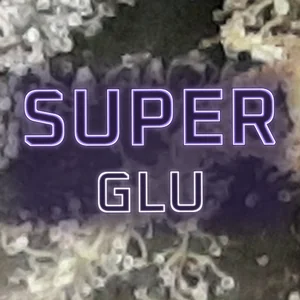 Super Glu Cannabis Strain
