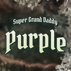 Super Grand Daddy Purple Cannabis Strain