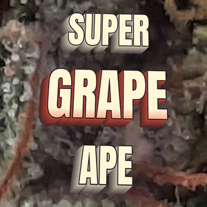Super Grape Ape Cannabis Strain