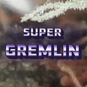 Super Gremlin Cannabis Strain