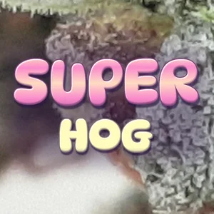 Super Hog Cannabis Strain