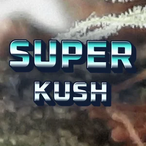 Super Kush Cannabis Strain