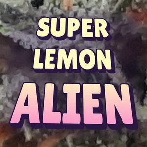 Super Lemon Alien Cannabis Strain