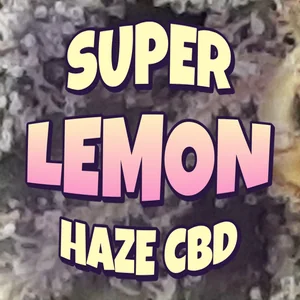 Super Lemon Haze CBD Cannabis Strain