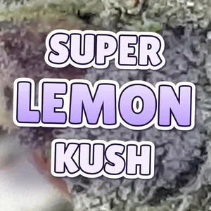 Super Lemon Kush Cannabis Strain