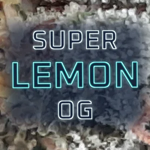 Super Lemon OG Cannabis Strain