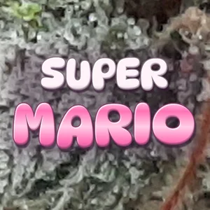 Super Mario Cannabis Strain