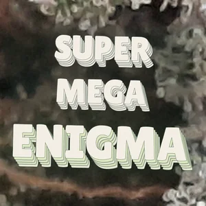 Super Mega Enigma Cannabis Strain