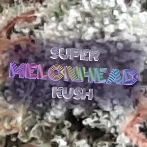 Super MelonHead Kush Cannabis Strain