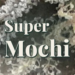 Super Mochi Cannabis Strain