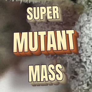 Super Mutant Mass Cannabis Strain
