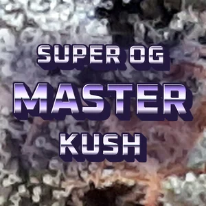 Super OG Master Kush Cannabis Strain
