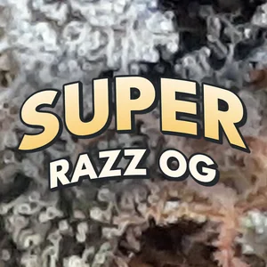 Super Razz OG Cannabis Strain