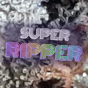 Super Ripper Cannabis Strain