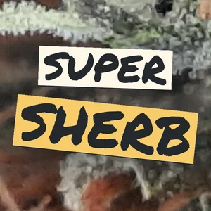 Super Sherb Cannabis Strain