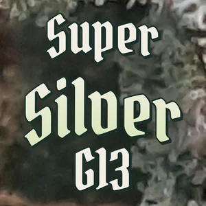 Super Silver G13 Cannabis Strain
