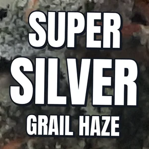 Super Silver Grail Haze Cannabis Strain