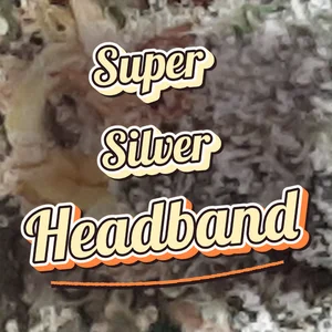 Super Silver Headband Cannabis Strain