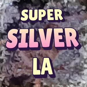 Super Silver LA Cannabis Strain