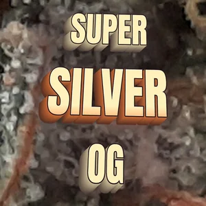Super Silver OG Cannabis Strain