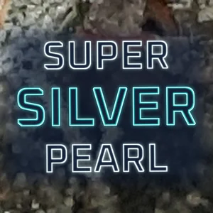 Super Silver Pearl Cannabis Strain