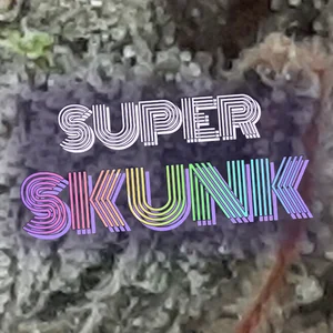 Super Skunk Cannabis Strain