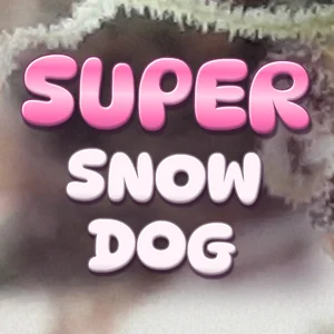 Super Snow Dog Cannabis Strain