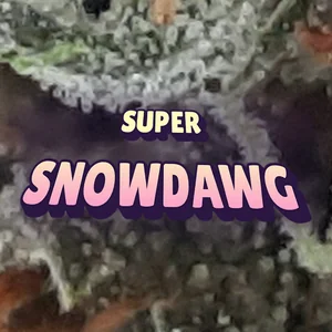 Super Snowdawg Cannabis Strain