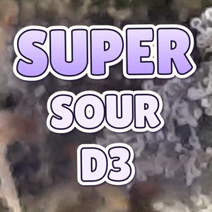 Super Sour D3 Cannabis Strain