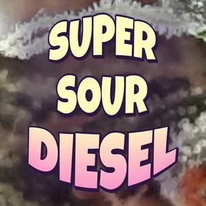 Super Sour Diesel Cannabis Strain