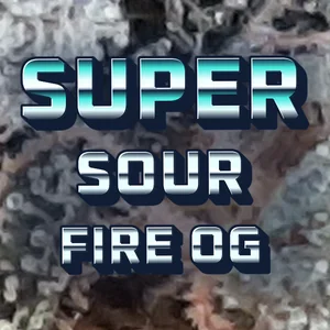 Super Sour Fire OG Cannabis Strain