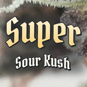 Super Sour Kush Cannabis Strain