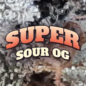 Super Sour OG Cannabis Strain