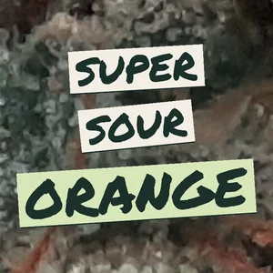 Super Sour Orange Cannabis Strain