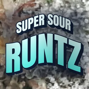 Super Sour Runtz Cannabis Strain