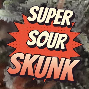 Super Sour Skunk Cannabis Strain