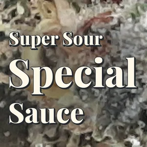 Super Sour Special Sauce Cannabis Strain