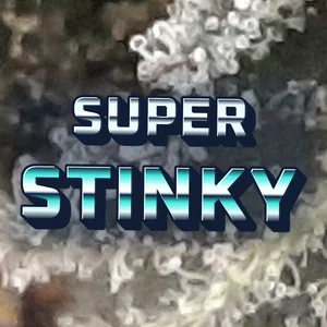 Super Stinky Cannabis Strain