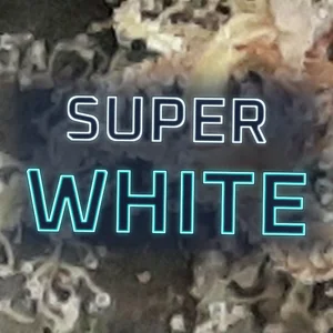 Super White Cannabis Strain