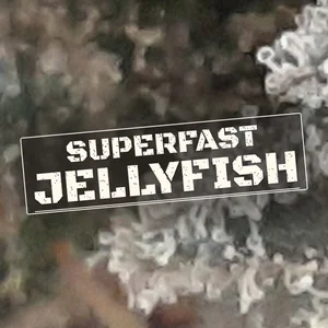 Superfast Jellyfish Cannabis Strain