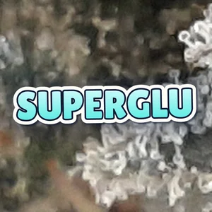 SuperGlu Cannabis Strain