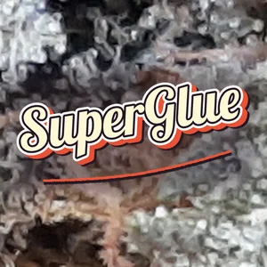 SuperGlue Cannabis Strain